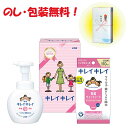 引っ越し 挨拶 粗品 景品 内祝 記念品キレイキレイ薬用泡ハンドソープ 中元 歳暮ギフトライオン キレイキレイギフトセット LKG-6A