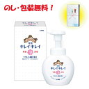 引っ越し 挨拶 粗品 景品 記念品キレイキレイ薬用泡ハンドソープ 中元 歳暮 御年賀 内祝 ライオン キレイキレイ薬用泡ハンドソープ250ml箱入