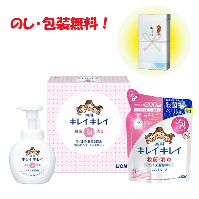 引っ越し 挨拶 粗品 景品 内祝 記念品キレイキレイ薬用泡ハンドソープ 中元 歳暮ギフトライオン キレイキレイ泡ハンドソープセット LBB-8P