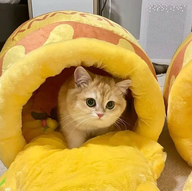 猫ハウスはちみつ壺ねこベッドハニーポッドキャットハウス蜂蜜壺マットクッション...