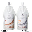 シュワルツコフ NS ウォータリング CYS30 1剤 400ml 2剤 400ml 合計2点セット【宅急便対応】