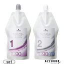 シュワルツコフ NS ウォータリング TG90 1剤 400ml 2剤 400ml 合計2点セット【ゆうパック対応】