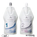 シュワルツコフ NS ウォータリング TG70 1剤 400ml 2剤 400ml 合計2点セット【宅急便対応】