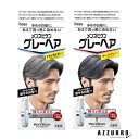 ホーユー メンズビゲン グレーヘア 40g+40g【ドラッグストア】【宅急便対応】