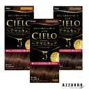 ホーユー シエロ オイルインヘアマニキュア 100g+3g+10g【ドラッグストア】【宅急便対応】