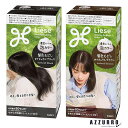 花王 リーゼ 泡カラー 髪色もどし 115ml【ドラッグストア】【宅急便対応】