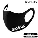 GATESIX ロゴ ファッション マスク 2枚入り 涼感素材 手洗い可能 洗える BLACK ホワイト 白 コロナ コロナ対策 大人用 ゲートシックス ストリート カジュアル メンズ レディース ユ