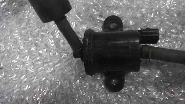 �Х����ѡ��ġ����쥢�������ԡ���AF55-1313xxx���Ρ�ǳ���ݥ�� *1639621553������šۡ���������