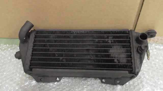 バイクパーツ　Dトラッカー　LX250E-A06xxx　の　ラジエター　2 *1650612183　【中古】【送料込】