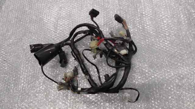 バイクパーツ　カブ 50 FI カスタム　AA01-1775xxx　の　メインハーネス *1657256966　【中古】【送料込】