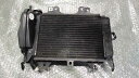 バイクパーツ パルサー200NS MD2A36FZ8ECA72xxx の ラジエター *1671780070 【中古】【送料込】