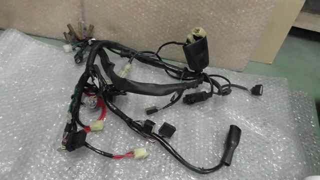 バイクパーツ　カブ 50 FI カスタム　AA01-1768xxx　の　メインハーネス *1616467614　【中古】【送料込】