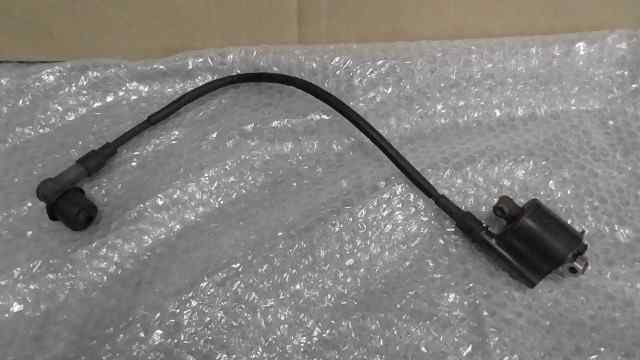 バイクパーツ　ディオ110　JF31-1104xxx　の　イグニッションコイル *1625536355　【中古】【送料込】