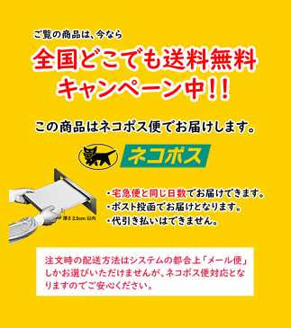 【●日本製】幼児・子供用浮き輪　（浮輪）　アームヘルパー [アームブイ2] ブルー 両腕用補助具 [うきわ/フットマーク]