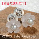 【即日発送対応可】K14WG ベビーアコヤパール フラワーモチーフ スタッド ピアス【3.0mm】【送料無料】【品質保証書】【代引手数料無料】パールピアス 14金 真珠ピアス 可愛い ジュエリー アクセサリー プレゼント 人気 オシャレ 本真珠 桜 入学式 水晶 クオーツ