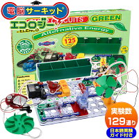 夏休み 自由研究 小学生 電子工作 キット 知育玩具 【電脳サーキット エコロジー】 正規品 サイエンス 玩具 電子ブロック プレゼント 5歳 6歳 7歳 電子玩具 子供 男の子 入学祝い 電子回路 科学 おもちゃ 学研 電子ブロック 電気 パズル ブロック 電気回路 家庭学習 教材 3D