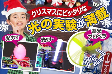 知育玩具 プレゼント 電脳サーキット イルミナ 正規品 電気 ブロック クリスマス 小学生 小学1年生 小学2年生 小学3年生 電子ブロック 5歳 6歳 7歳 電子玩具 子供 男の子 電子回路 おもちゃ 学研 電子ブロック パズル 学習 電気回路 Snap Circuits Jr. 回路パズル 知育パズル