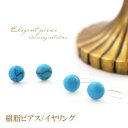 樹脂ピアス イヤリング ハウライト ターコイズ 一粒 (両耳用) ピアス デイリー カジュアル 普段使い 肌に優しい 樹脂イヤリング 樹脂ポスト ピアス風イヤリ...
