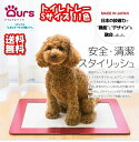 犬 トイレ レギュラー おしゃれ 小型犬 マツミ Ours アワーズ トイレトレー Sサイズ 全11色