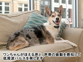 無駄吠え防止首輪 犬用品 しつけ トレーニング 低周波パルス 低周波パルス ペットセーフ ペットセーフ 小型犬用バークコントロール Pbc00 ディーシーコンフォート送料無料 15段階の低周波パルスでむだぼえを防止 無駄吠え防止首輪 犬用品 しつけ トレーニング 低周波パルス 低周波パルス ペットセーフ ペットセーフ 小型犬用バークコントロール Pbc00 ディーシーコンフォート送料無料 15段階の低周波パルスでむだぼえを防止