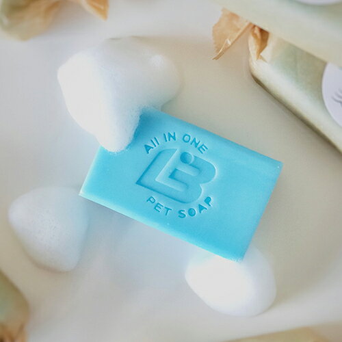 �ڥå����и� �Ƿ��и� F.I.A Soap Bar �ե������ȥ��󥿡��ʥ���ʥ륢���������� �����ץС�