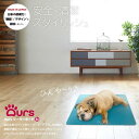 犬 ひんやり マット アルミ プレート 熱中症対策 アワーズ Ours クーラーボード M 全8色