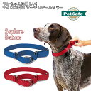 犬 首輪 大型犬 お散歩 しつけ ハーフチョーク マーチンゲールカラー ナイロン製 Pet Safe ペットセーフ プレミアカラー 5サイズ 全2色