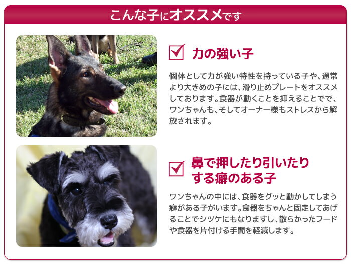 �ޥĥ� Ours �ե����֥�ɥå����� �ա��ɥܥ��륹����� ���ߤ�ץ졼��