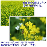 青蔵高原生ローヤルゼリー100g3本セットで10%offあす楽送料無料【ビーアンドビー楽天市場店】