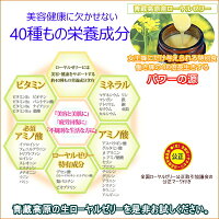 青蔵高原生ローヤルゼリー100g3本セットで10%offあす楽送料無料【ビーアンドビー楽天市場店】