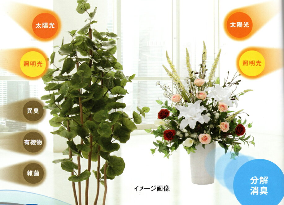 トネリコ 1 2 フロアタイプ 人工観葉植物 光触媒 光の楽園 送料無料 ビーイング