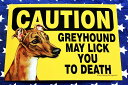 グレイハウンド 雑貨 プラスチックプレート GREYHOUND MAY LICK YOU TO DEATH グレイハウンド グッズ アメリカ製 アメリカ直輸入品 グレーハウンド ペット 犬 雑貨