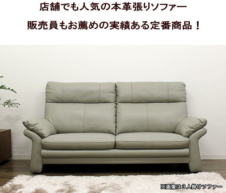 ソファー ソファ 2人掛けソファー 本革ソファー 二人掛 2P 革ソファー ハイバック リビングソファ シリコンフィル Sバネ 背脱着式 開梱設置配送 [3]