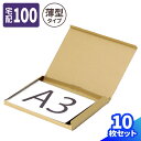 段ボール 100サイズ 薄型 10枚〜100枚 (470×348×20) A3対応 ダンボール 宅配100 箱 段ボール 100 ダンボール箱 段ボール箱 梱包...