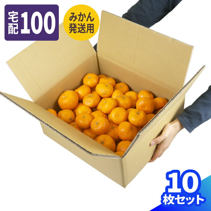 楽天市場】みかん 段ボールの通販 楽天市場】みかん 段ボールの通販
