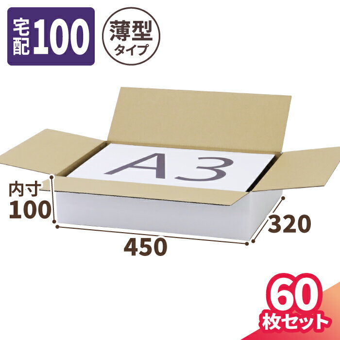 薄型 ダンボール 100サイズ A3 60枚 白 (450×320×100) 段ボール 100 ダンボール箱 浅型 段ボール箱 梱包資材 梱包材 梱包 宅配10...