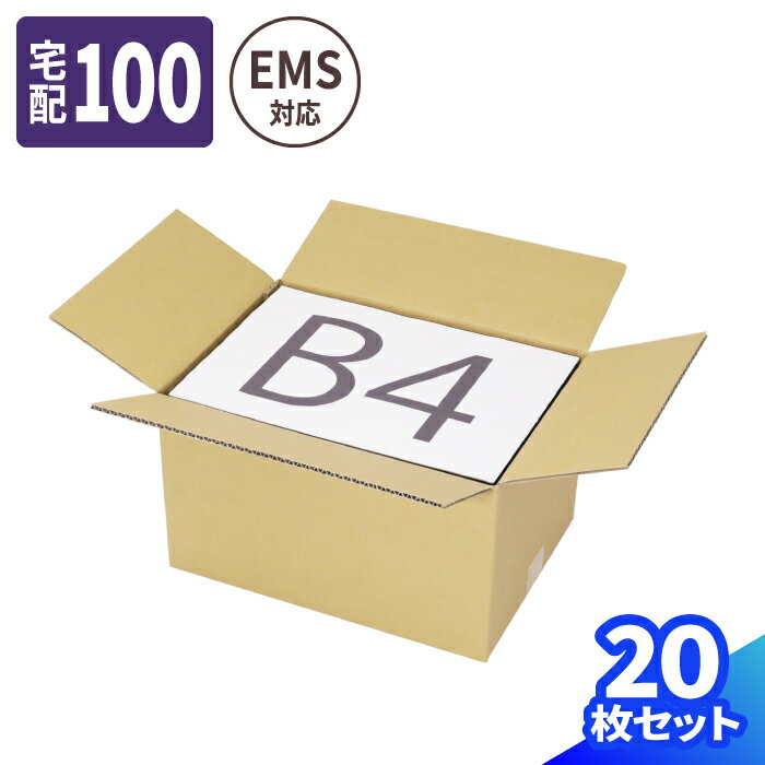 【送料無料】EMS ダンボール 100サイズ 20枚 (374×267×218) 国際郵便 ダンボール 100 段ボール 引っ越し 宅配100 箱 ダンボール箱 B4 段ボール箱 梱包用 梱包資材 梱包材 梱包 宅配箱 宅配 収納 引越し 海外 引越 海外発送 (0741)