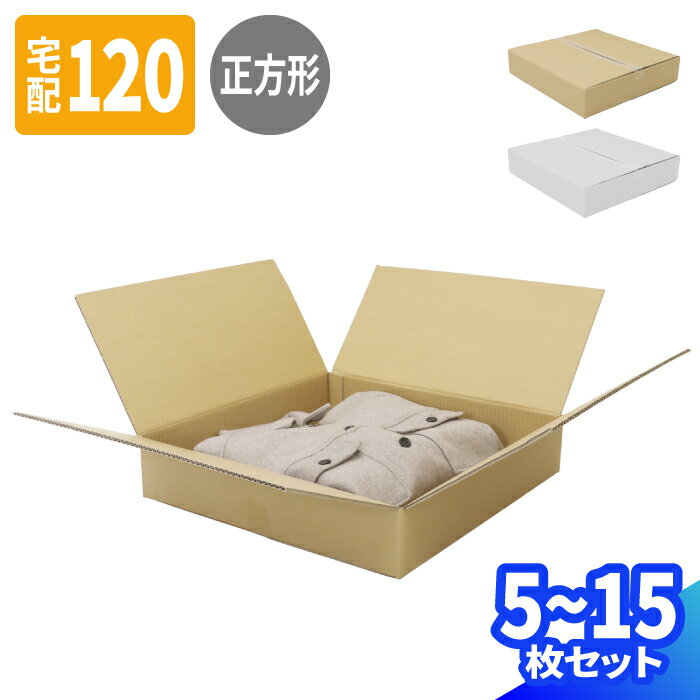 薄型 ダンボール 120サイズ 5枚〜15枚 (520×520×100) 正方形 ダンボール 段ボール 120 段ボール箱 梱包用 梱包資材 梱包材 梱包 宅配...