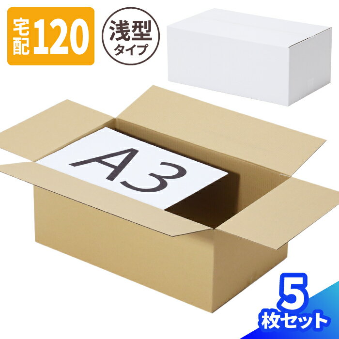 ダンボール 120サイズ 5枚〜40枚 (460×350×340) アパレル発送 宅配120 箱 段ボール 120 ダンボール箱 A..