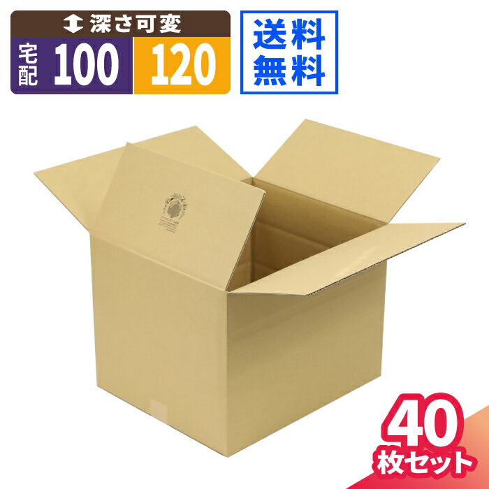 【送料無料】ダンボール 120サイズ 40枚 広告入 (445×375×330〜136) 段ボール 120 ダンボール箱 段ボール箱 梱包用 梱包資材 梱包材 梱包 宅配120 箱 宅配箱 宅配 引っ越し 発送箱 収納 書類 保管箱 大きい 大型 100サイズ 深さ調節可 可変式 (2057)