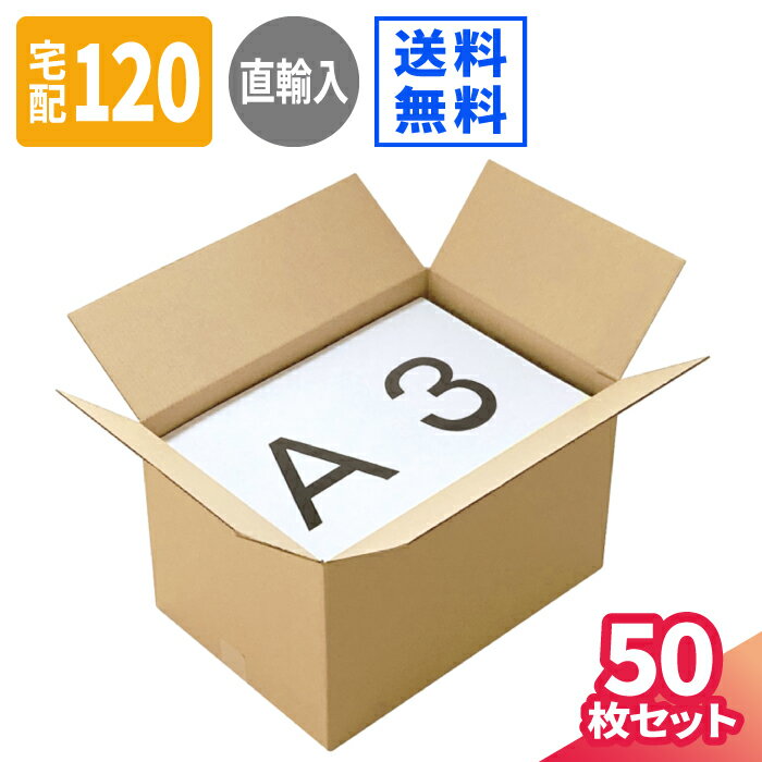 ダンボール 120サイズ 50枚 直輸入 (450×310×