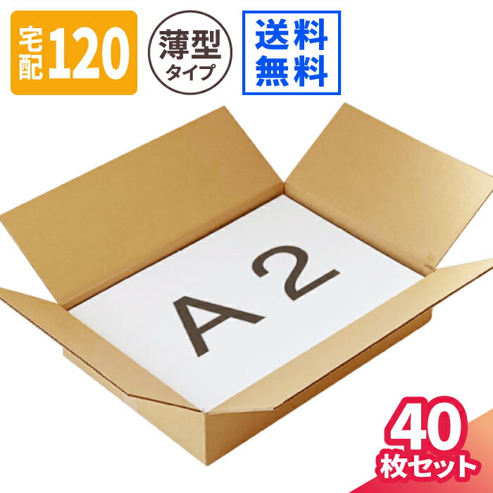 ダンボール 120サイズ 40枚 (610×430×120) 薄型 段ボール 宅配120 ダンボール箱 A2サイズ 120 段ボール箱 梱包用 梱包資材 梱包 ...