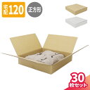 薄型 ダンボール 120サイズ 30枚 (520×520×100) 正方形 ダンボール 段ボール 120 段ボール箱 梱包用 梱包資材 梱包材 梱包 宅配120...