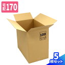 ダンボール 170サイズ 5枚 10枚 広告入り (650×380×570) 宅配170 箱 ゆうパック 段ボール 170 ダンボール箱 段ボール箱 梱包用 梱包資材 梱包材 梱包 宅配箱 ヤマト 宅急便 ヤマト運輸 佐川 宅配 引越し 160サイズ以上 衣類 収納 ボックス 家電 大型 大きい 特大 (2087)