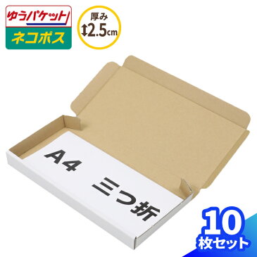 定形外郵便 ネコポス 最小サイズ 薄型 223×106×22 白【10枚】 | ダンボール 段ボール ダンボール箱 段ボール箱 ネコポス 箱 ゆうパケット クリックポスト ゆうメール 梱包 梱包資材 梱包材 メール便 定形外 小型 小さい 薄型 アクセサリー ハンドメイド 白箱 (0433)