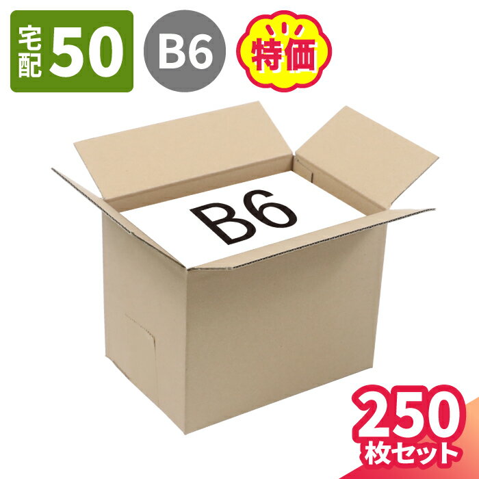 【送料無料】ダンボール 50サイズ 250枚 広告入 (198×133×153) B6 小型ダンボール 60サイズ 段ボール 60 ダンボール箱 段ボール箱 梱包用 梱包資材 梱包材 梱包 宅配60 箱 B6サイズ 宅配箱 宅配 ヤマト運輸 通販 発送 本 収納 衣類 食品 エコ段ボール 軽量 (2058)