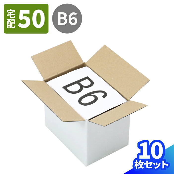 ダンボール 50サイズ 10枚 白 (198×133×153) 小型ダンボール 60サイズ 段ボール 60 ダンボール箱 段ボール箱 梱包用 梱包資材 梱包材 梱包 宅配60 箱 宅配箱 宅配 ヤマト運輸 B6 メルカリ 発送 本 収納 衣類 食品 サプリメント エコ段ボール (0445)