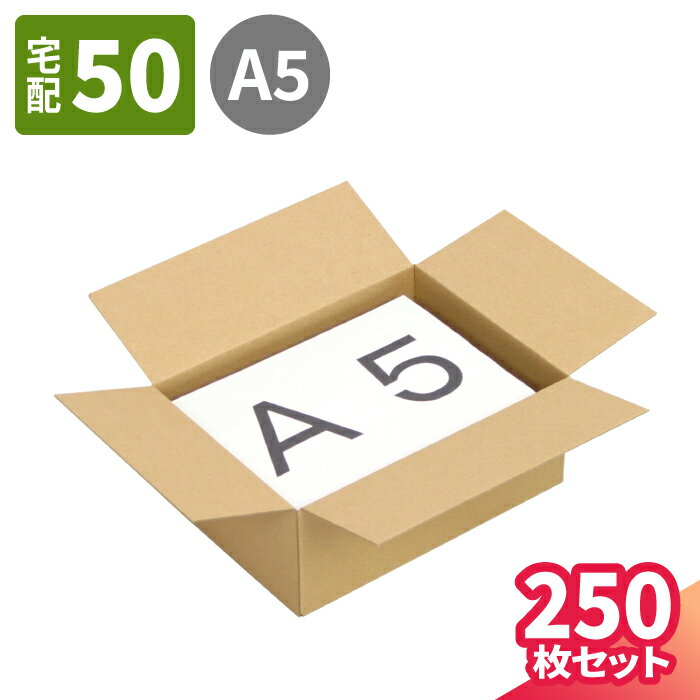 【送料無料】ダンボール 60サイズ 250枚 (230×168×88) ワンタッチ式 段ボール 50 ダンボール箱 段ボール箱 A5サイズ 梱包用 梱包資材 梱包材 梱包 宅配50 箱 宅配箱 宅配 ヤマト運輸 ボックス 小さい 小型 小型ダンボール 50サイズ A5 用紙サイズ (5165)