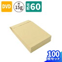 宅配袋 紙袋 小 DVD 梱包袋 100枚 (250×160mm) 宅配用 クラフト袋 梱包 梱包用 梱包資材 梱包材 封筒 宅配60 60サイズ 小さい アクセサリー 発送 DVD CD マチ付 テープ付 (2738)