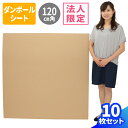 【法人限定販売】ダンボールシート 10枚 (1200×1200×3) ダンボール板 段ボール 正方形 薄型 梱包資材 梱包材 梱包 包装材 ダンボールパッド 高校 文化祭 台紙 工作用 工作 工作キット 板ダンボール ボード 保護ダンボール 120cm角 (1015)(3)